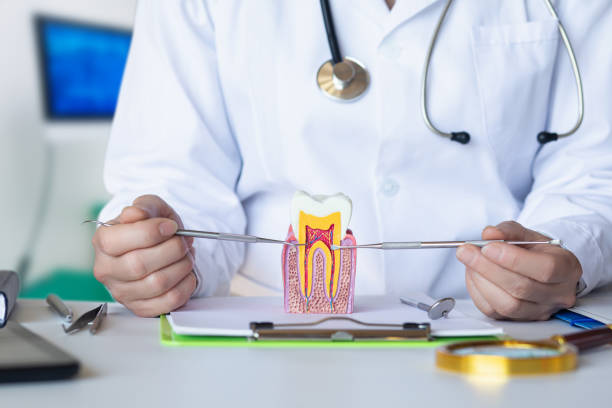Best Same-Day Emergency Dentist in Leadwood, MO